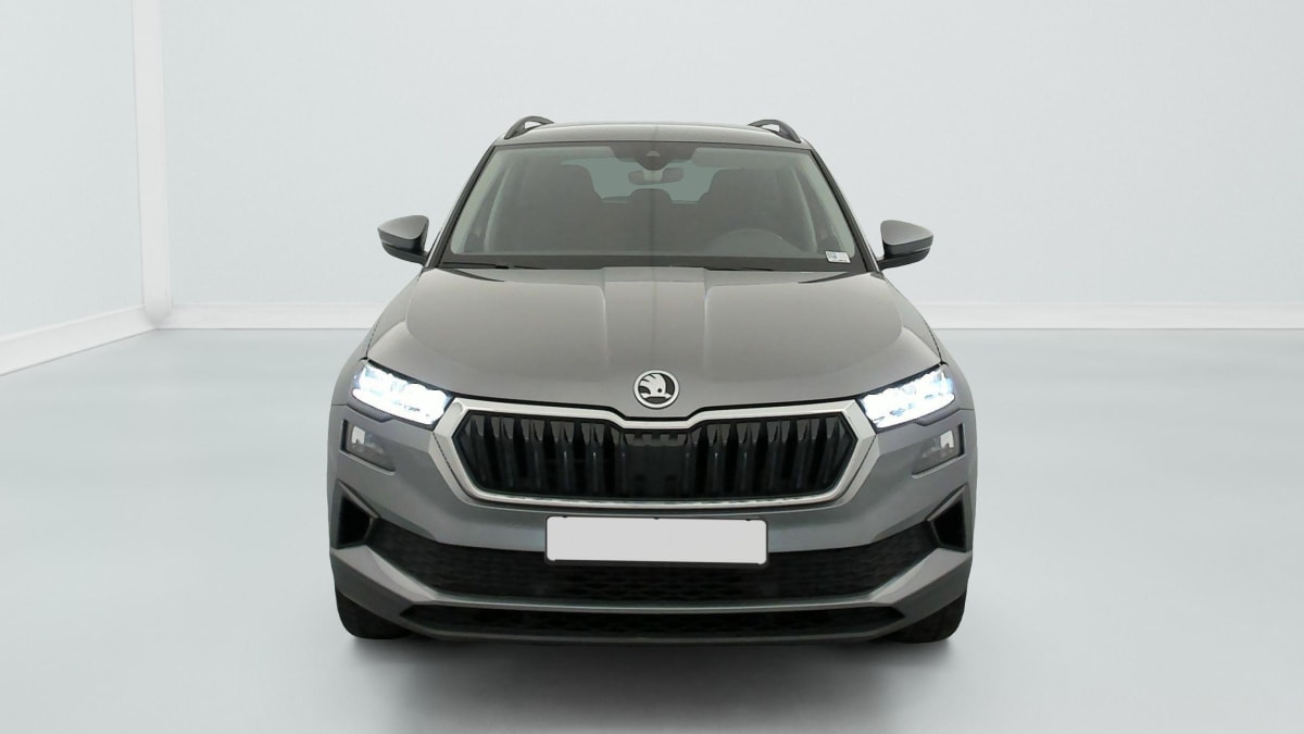 Skoda Karoq - Image 2