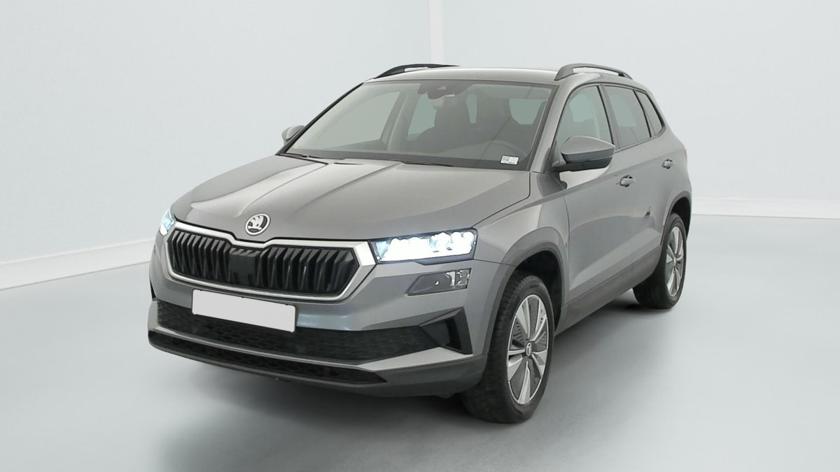 Skoda Karoq - Image 3