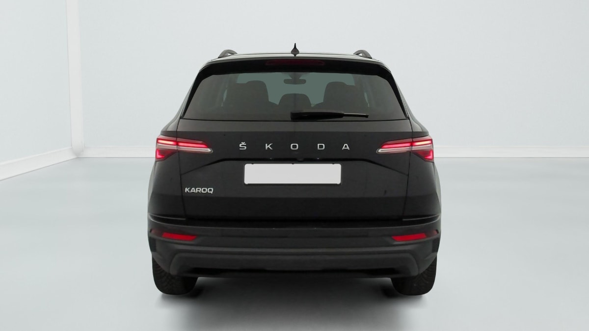 Skoda Karoq - Image 6