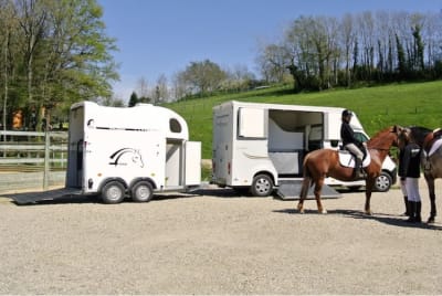 Vente de van pour chevaux sale