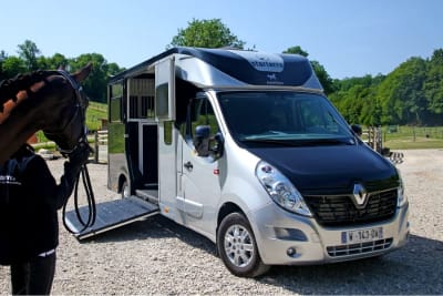 cheval prêt à monter dans un camion VL