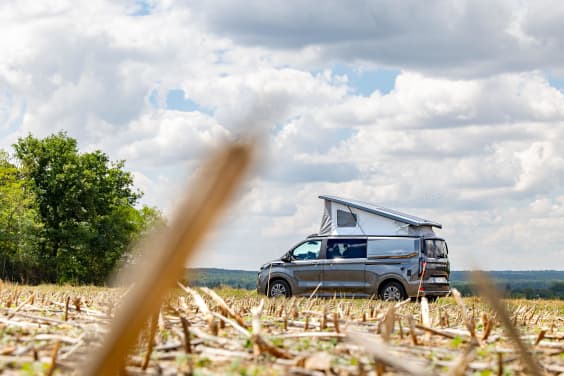 Stylevan Origin EQUINOX IV FORD TRANSIT CUSTOM - 2.0 L - 170 CV - BVA8 Gris Lunaire