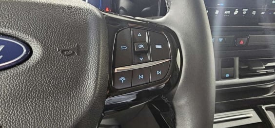 Ford Transit Custom Cabine Approfondie TRANSIT CUSTOM CA 320 L1H1 2.0 ECOBLUE 170 CH BVA8 SPORT Gris Matter