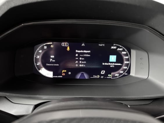 Cupra Formentor Formentor 2.0 TDI 150 ch DSG7 V Gris Graphene