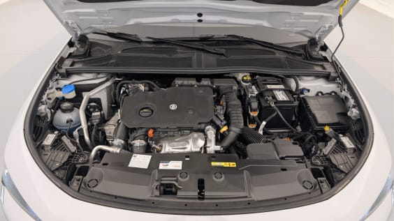 Peugeot 308 BlueHDi 130ch S&S EAT8 Allure Blanc Okenite