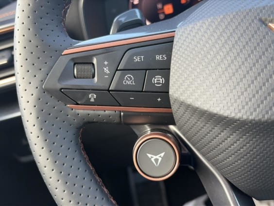 Cupra Formentor 2.0 tdi 150 v dsg7 Noir