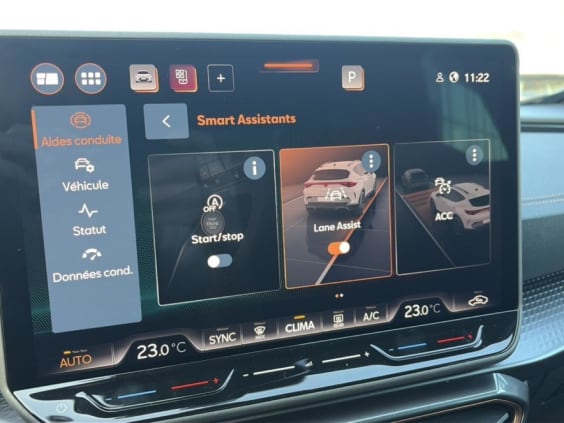 Cupra Formentor 2.0 tdi 150 v dsg7 Noir