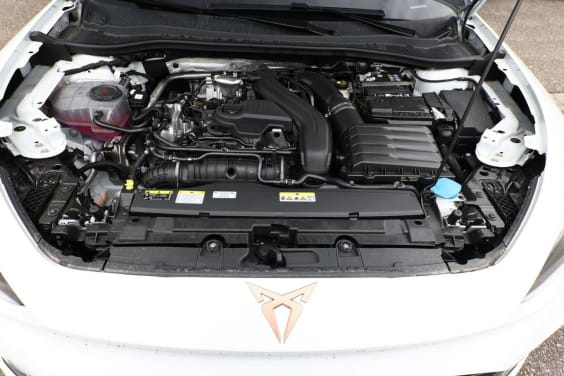 Cupra LEON 1.5 eTSI Hybrid 150 ch DSG7 V Blanc