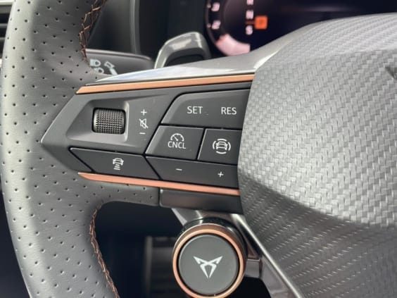 Cupra Formentor 2.0 tdi 150 v dsg7 Gris Magnetique