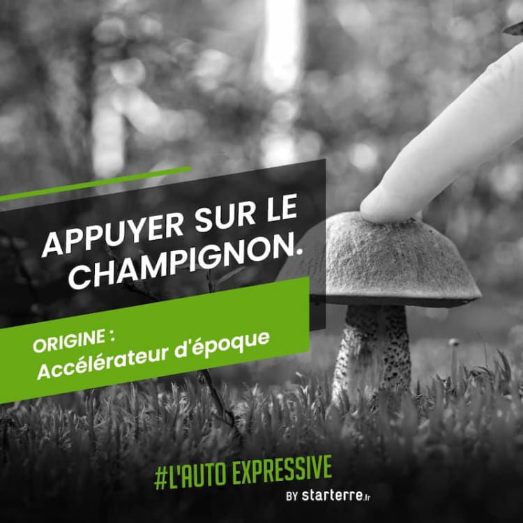 Appuyer sur le champignon