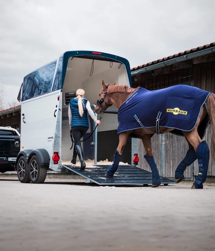 une cavalière faisant monter son cheval dans un camion chevaux