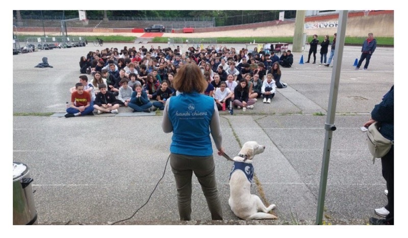 Junon, la chienne d'assistance de Quentin, au cross solidaire à Lyon pour l'association Handi'Chiens